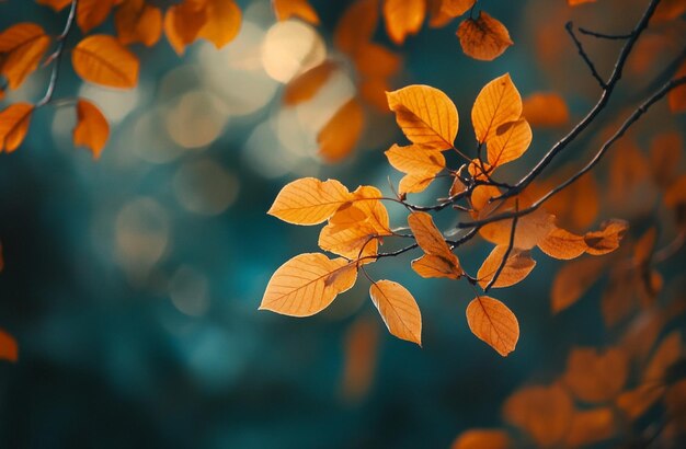 Fondo de otoño