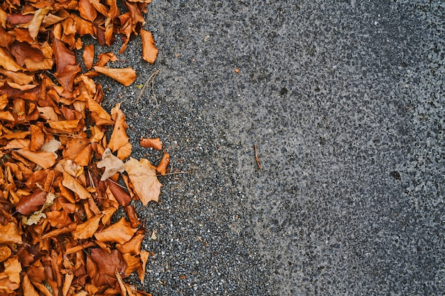 Fondo de otoño