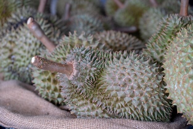 Fondo de paisaje de la fruta tropical tailandesa en el mercado de frutas tailandés durain