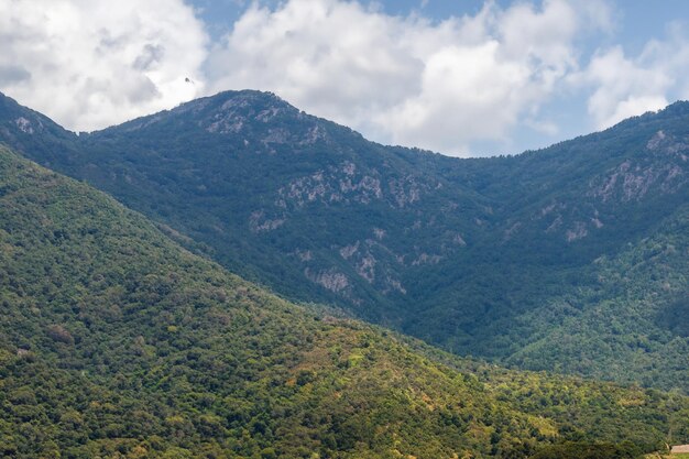 fondo del paisaje montañoso