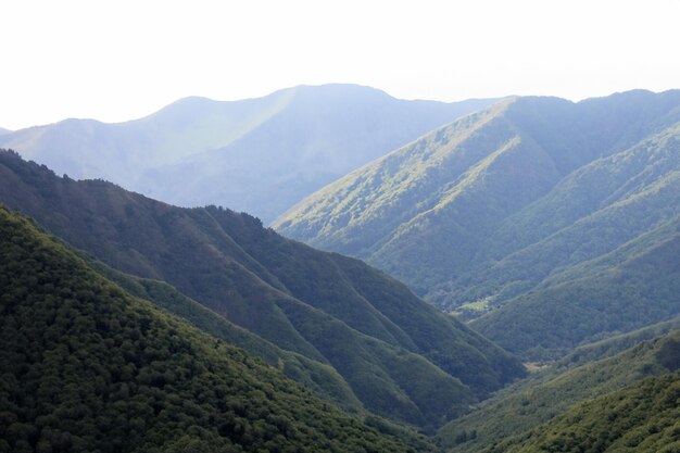 fondo del paisaje montañoso