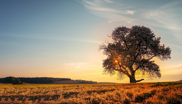 Fondo del paisaje natural