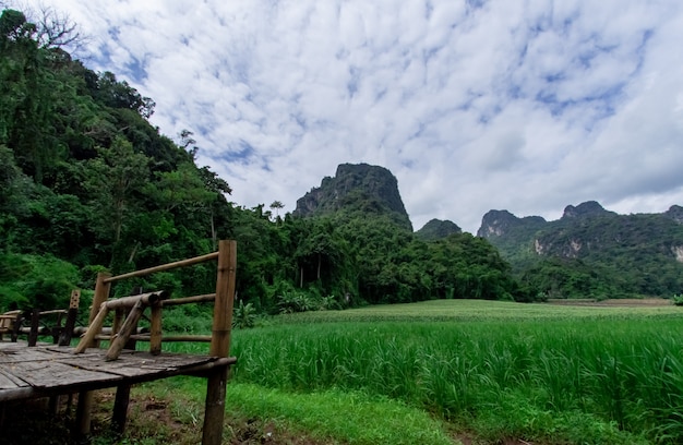 El fondo del paisaje de la naturaleza.