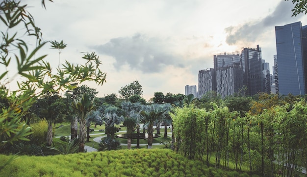 Fondo de paisaje de paisaje urbano de mañana soleada de parque verde