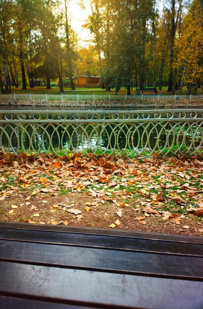 Fondo de paisaje de parque de otoño