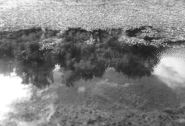 Fondo de paisaje de reflexiones de estanque de parque blanco y negro