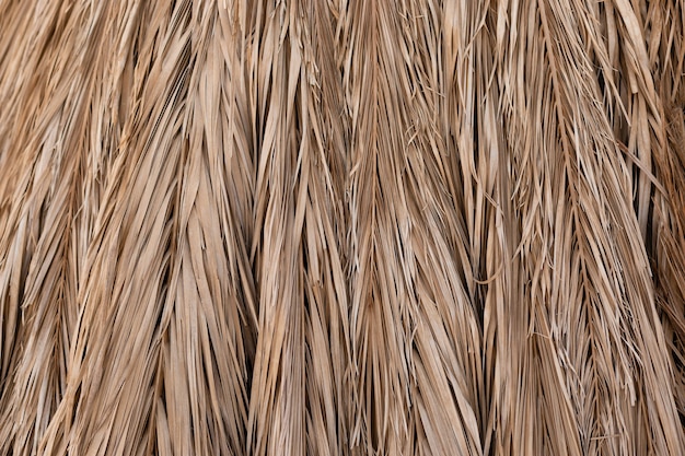 Foto fondo de paja de hojas de palmera