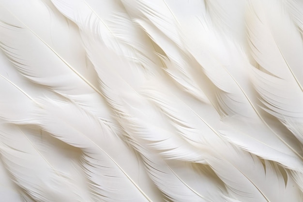 Fondo de paloma de plumas blancas Pureza gris Generar Ai