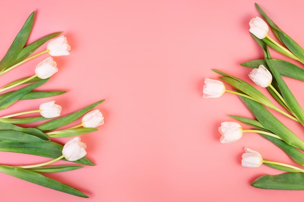Fondo para pancartas tulipanes hermosos blancos Flatlay día de la mujer día de la madre
