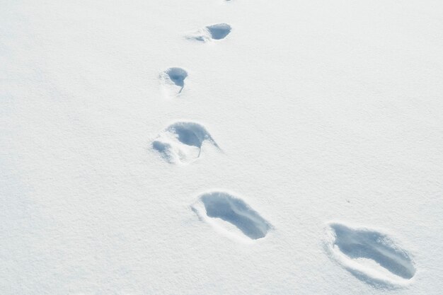 Fondo de pantalla blanco abstracto con nieve | Foto Premium