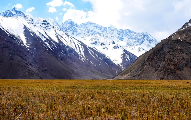 Fondo de pantalla de campo de montaña