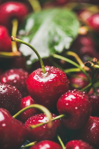 Fondo de pantalla y fondo de textura de cerezas dulces mojadas frescas