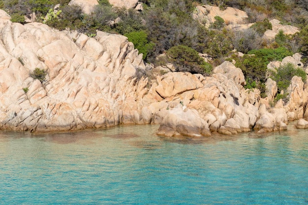 Foto fondo de pantalla y fondo de la vista frontal de la playa de la costa mediterránea con agua azul turquesa clara y vegetación