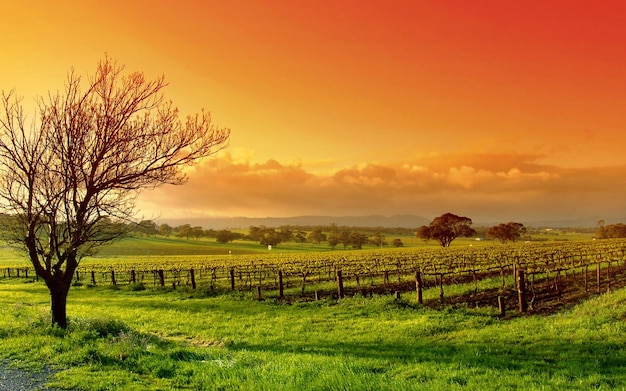 Fondo de pantalla de la granja al atardecer