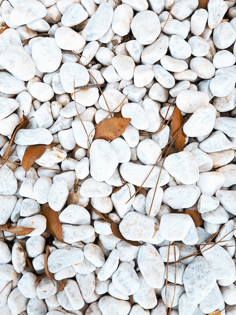 Fondo de pantalla de naturaleza con estilo Fondo de piedras de mar blanco