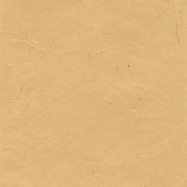 Fondo de papel beige