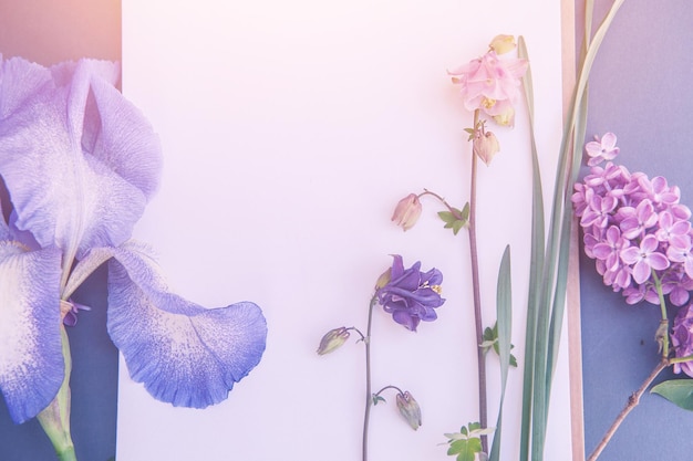 Fondo de papel blanco con flores variadas