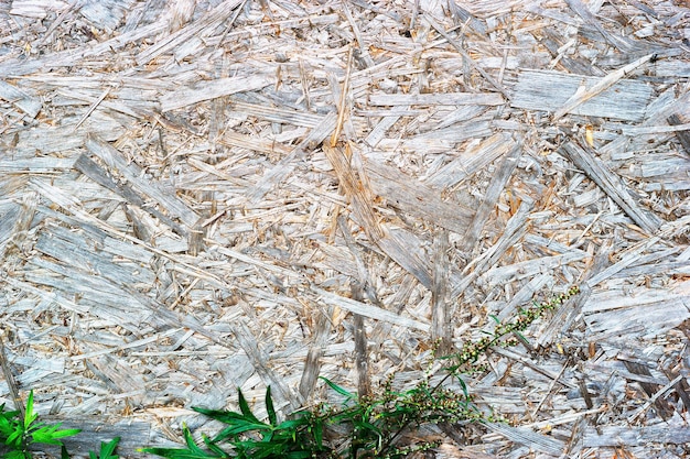 Foto fondo de papel de recortes de madera hd