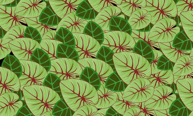 Fondo de papel tapiz de ilustración de dibujo a mano de acuarela de hojas verdes tropicales