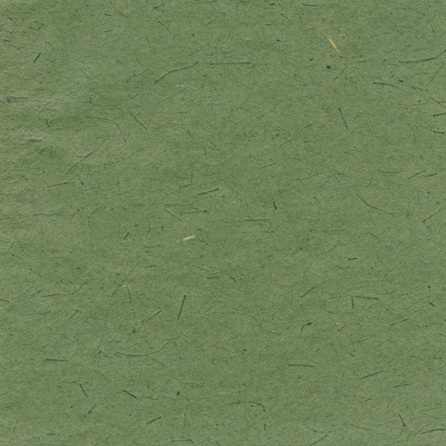 Fondo de papel verde