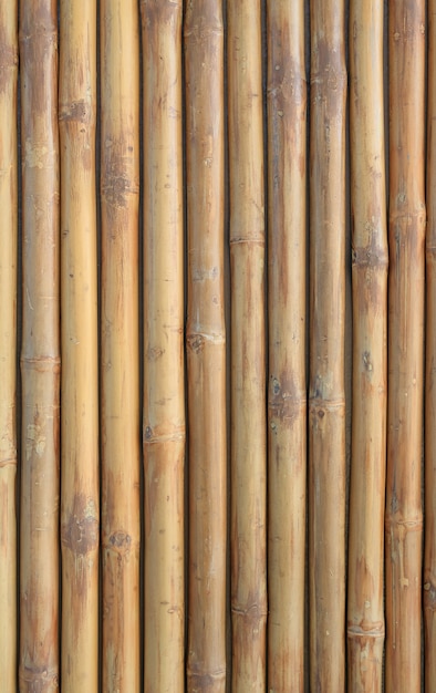 Fondo de pared de cerca de bambú vertical.
