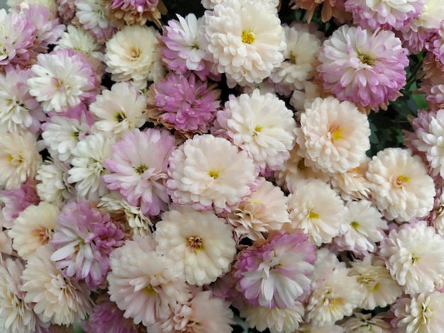 Fondo de pared de flores con increíble decoración de boda de flores de crisantemo púrpura rosa blanco y amarillo