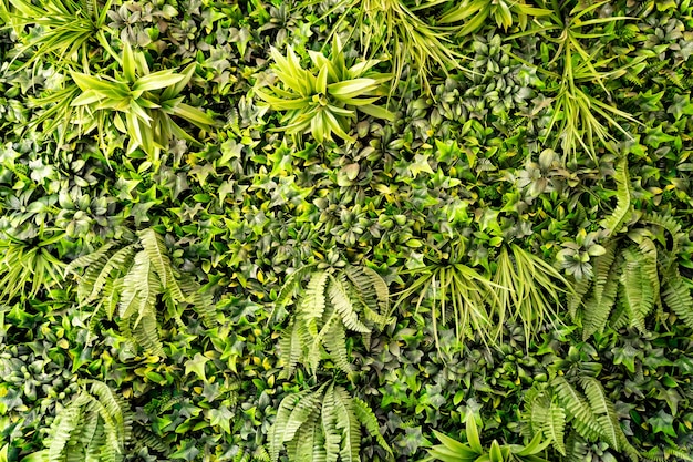 Fondo de pared de hojas verdes de diseño de interiores de plantas