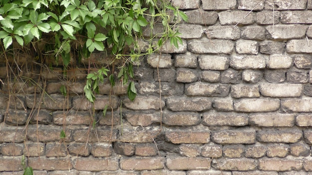 Fondo de pared de ladrillo antiguo de pared de ladrillo