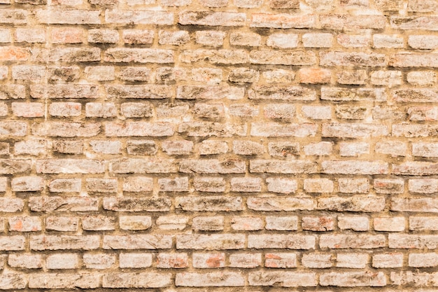 Fondo de pared de ladrillo rojo