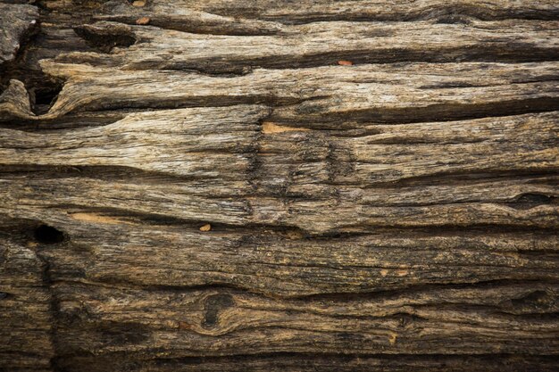 Fondo de pared de madera para fondo