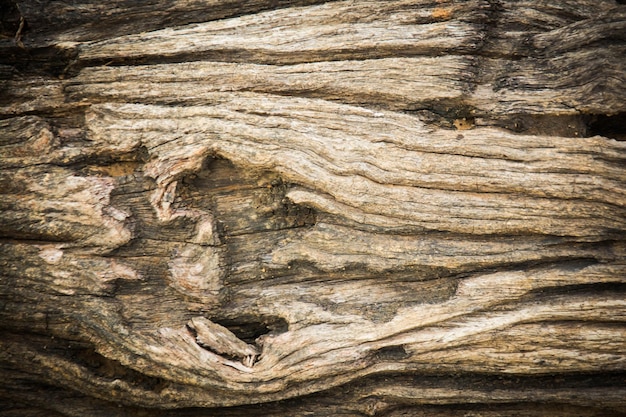 Fondo de pared de madera para fondo