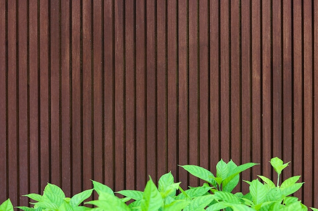 Foto fondo de pared de madera