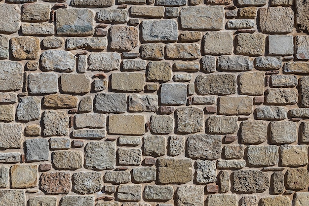 Fondo de pared de piedra gris marrón con hojas y musgo Patrón de textura de pared de pizarra y fondo