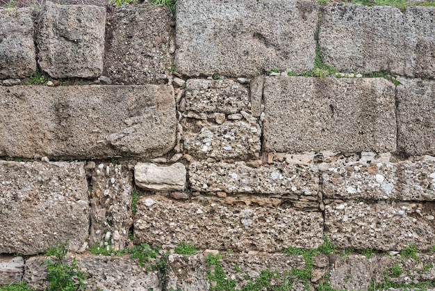 Fondo de pared de piedra marrón-gris con hojas y musgo. Patrón de textura de pared de pizarra y fondo