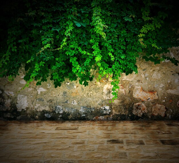 Foto fondo de pared de piedra un viejo muro de piedra hace un excelente fondo