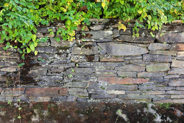 El fondo de pared con textura de piedra, resistente y atemporal, añade profundidad a los proyectos de diseño que simbolizan la dura