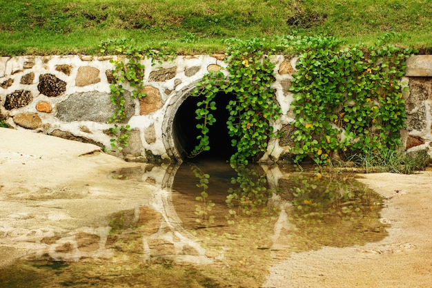 Fondo del parque natural con túnel