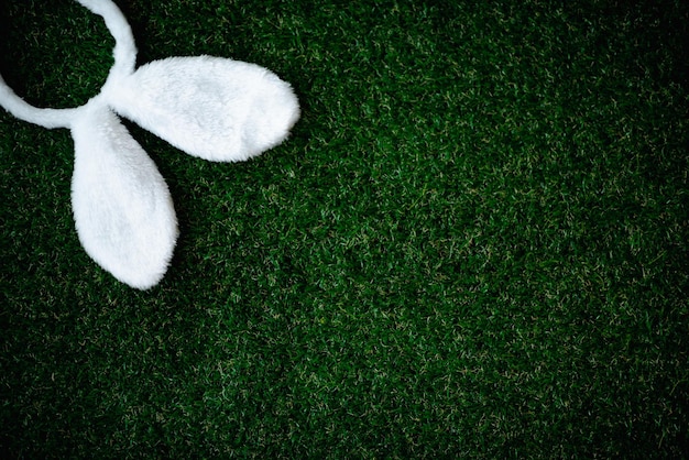 Fondo de Pascua con lindas orejas de conejo de Pascua sobre hierba verde Vista superior con espacio de copia Banner y encabezado de vacaciones de primavera