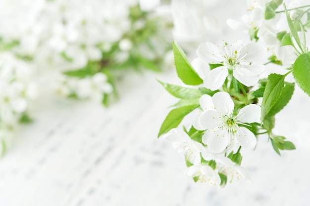 Fondo de Pascua Pascua en flor manzana blanca o flor de cerezo en fondo de madera blanca Feliz fondo de Pascua Día Mundial del Medio Ambiente Pascua Cumpleaños Día de las Mujeres Feriado Mock up