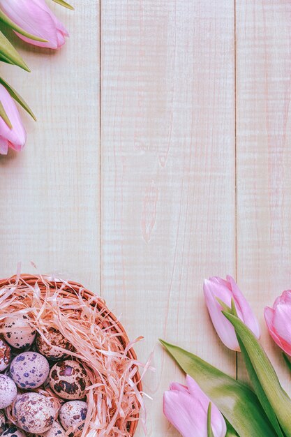 Fondo de Pascua rosa tulipanes en mesa de madera nido de huevos de codorniz