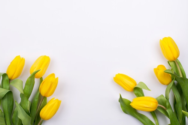 Fondo de Pascua con tulipson amarillo sobre blanco. Tarjeta de felicitación para el día de la madre. Copia espacio Lay Flat