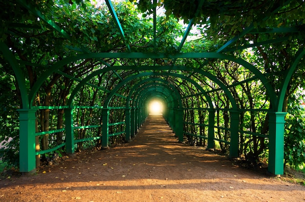 Fondo del pasillo del callejón del parque dramático