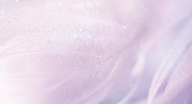 Fondo pastel con plumas en gotas de agua