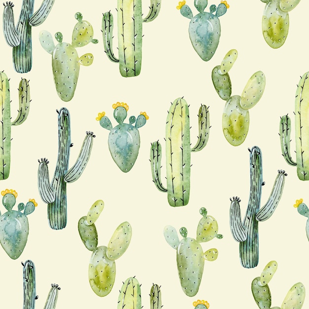 Fondo de patrón de cactus transparente dibujado a mano acuarela