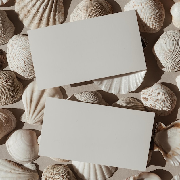 Fondo de patrón de conchas marinas beige y blanco neutro Hoja de tarjeta de papel en blanco con espacio de copia de maqueta vacía Plantilla de redes sociales de blog minimalista estético