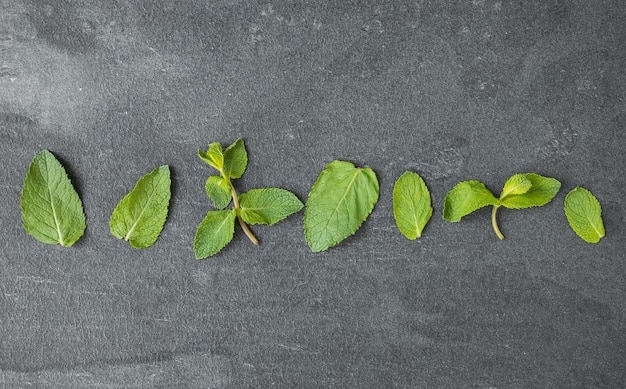 Foto fondo de patrón de hojas de menta verde