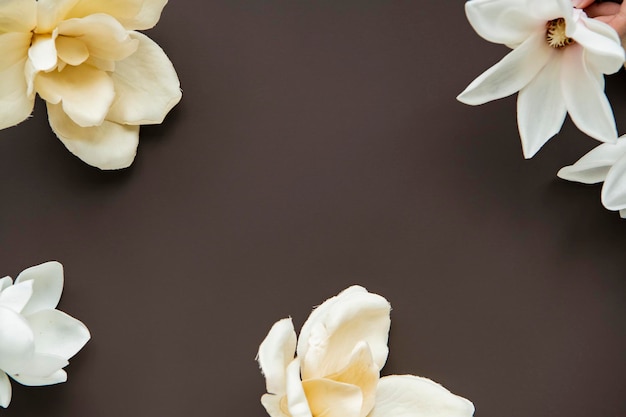 Fondo de patrón de magnolia blanca