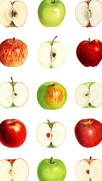 Fondo con patrón de manzana fresco dibujado a mano