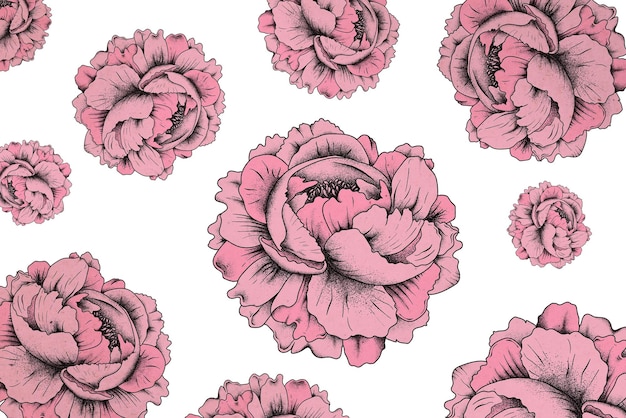 El fondo del patrón png rosa