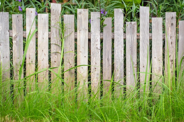 Fondo de patrón de textura de valla de madera con hierba verde